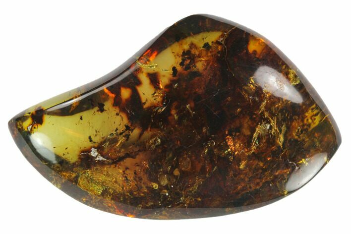 Polished Chiapas Amber ( g) - Mexico #114836